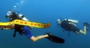 Schritt für Schritt zum Tauchlehrer: So kannst du im Paradies arbeiten