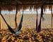 Beach Office: Ein Tag im Leben einer digitalen Nomadin