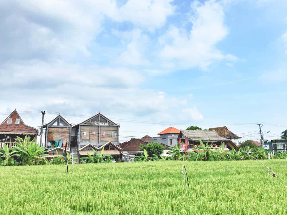 canggu