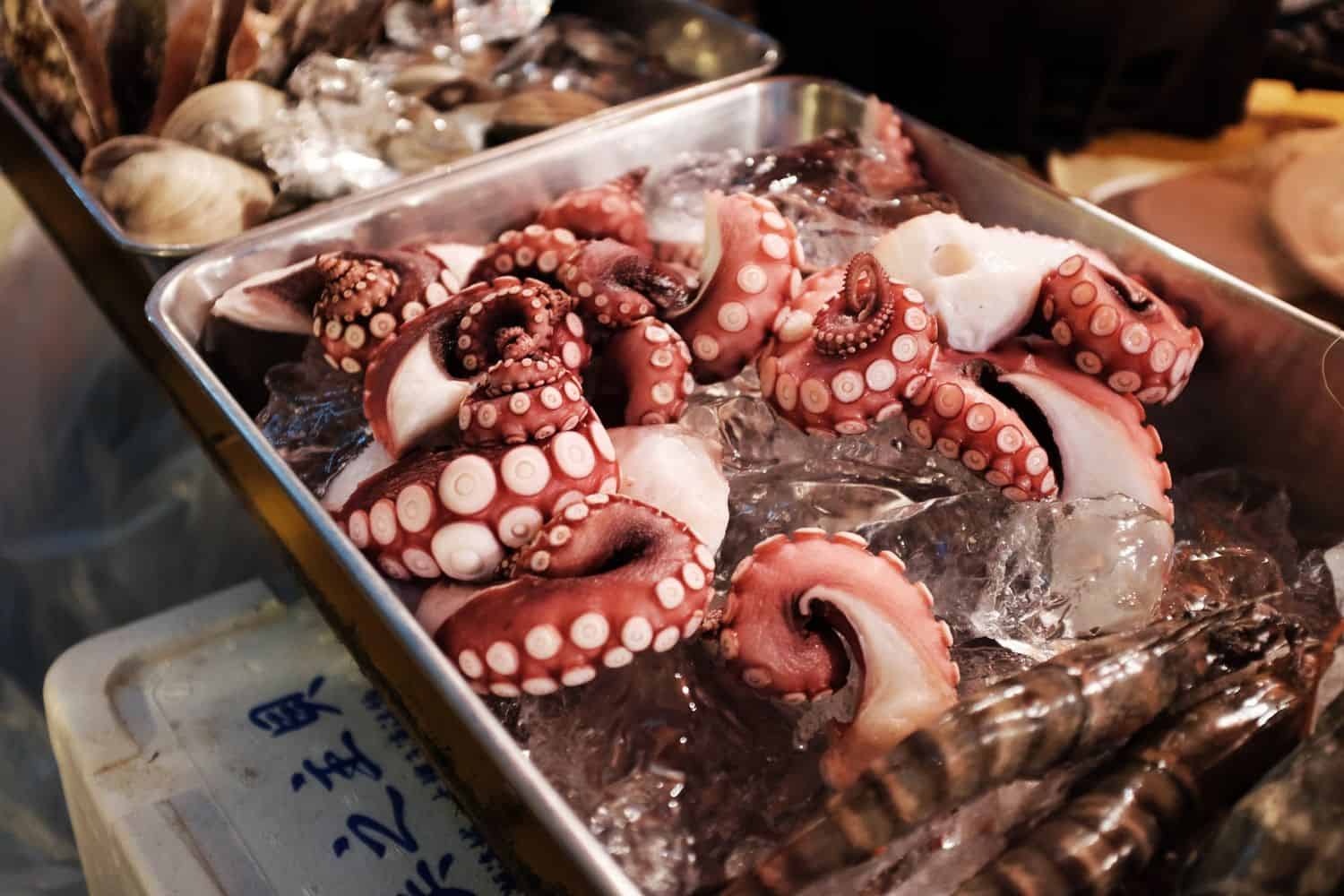 Reiseführer Japan – Fischmarkt in Shinjuku