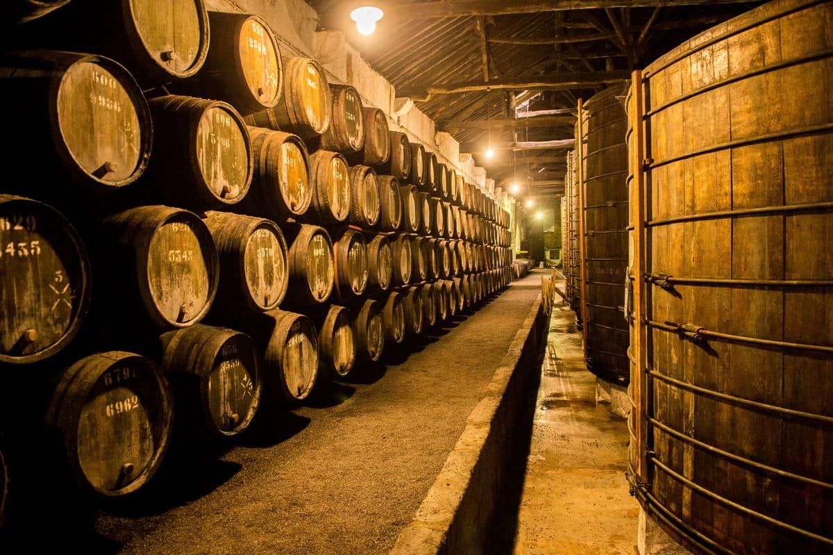 Portugal Reise-Tipps – Weinkeller in Porto