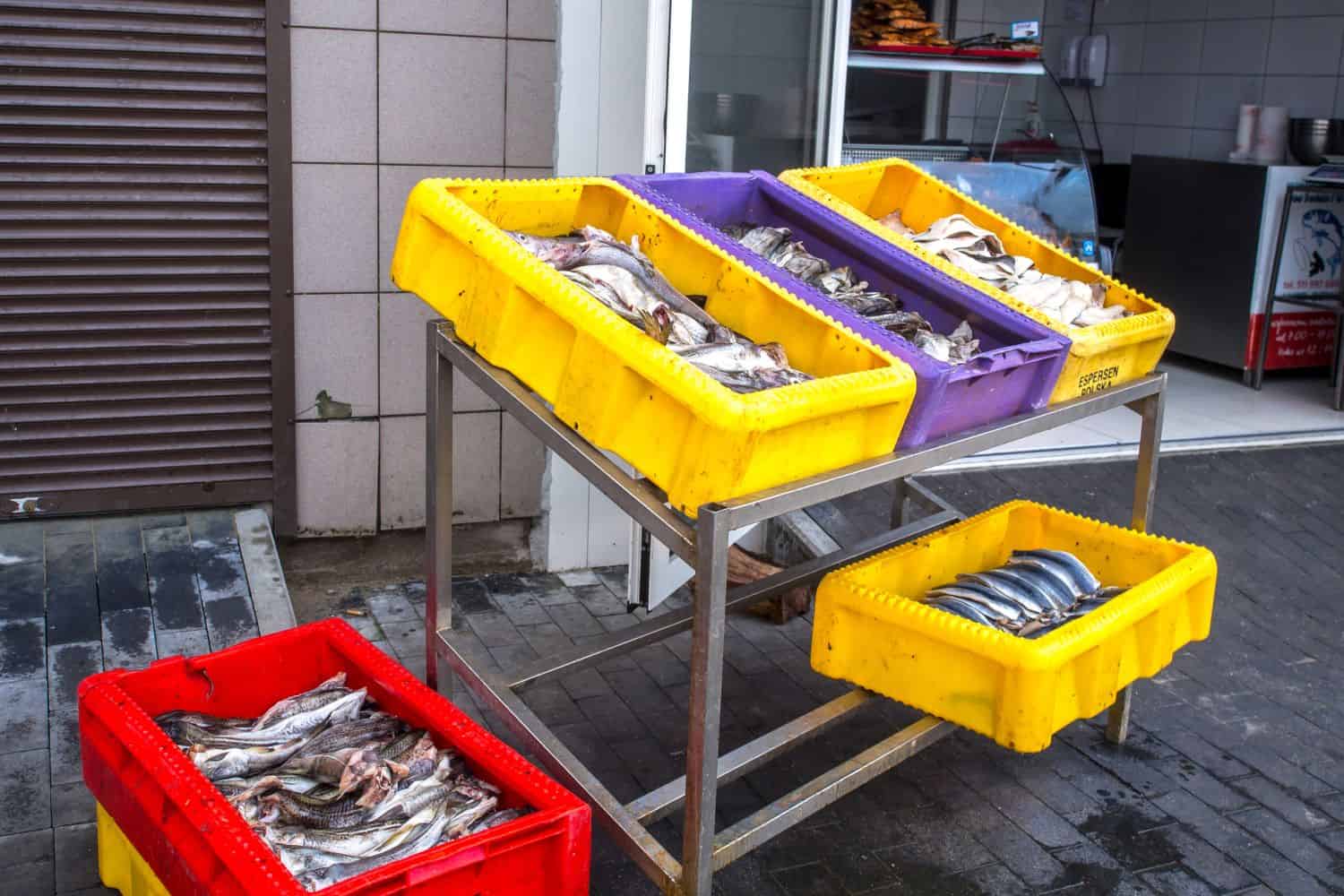 Ostsee frischer Fisch Hafen