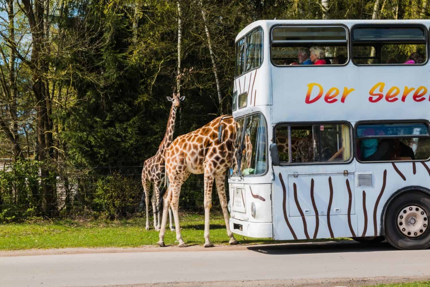 Ferien in Deutschland Serengedi Park