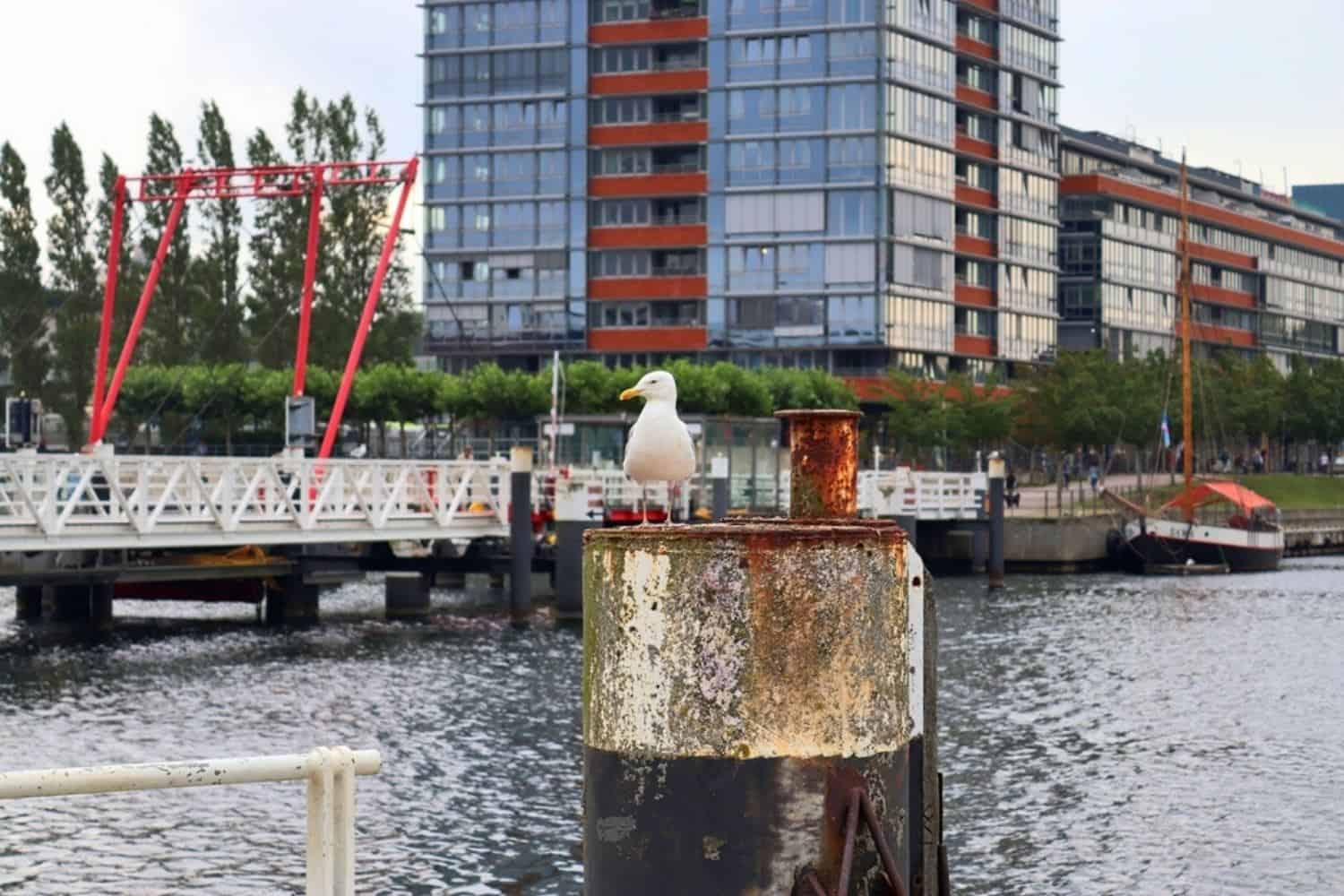 Kiel Hörnbrücke