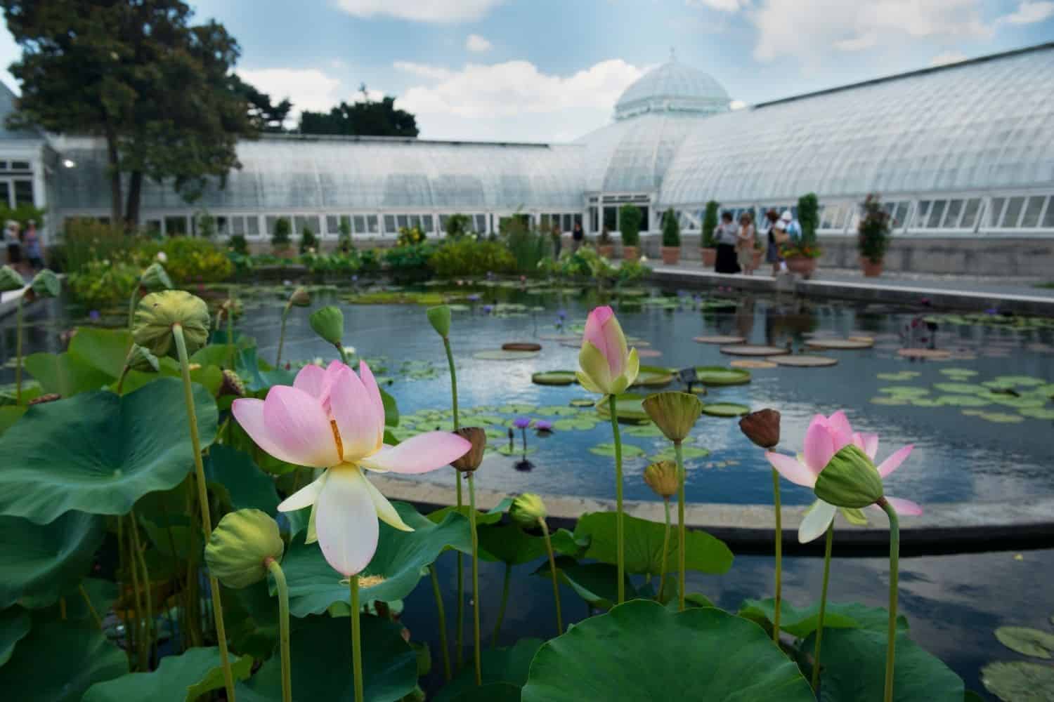 New York City Botanical Garden