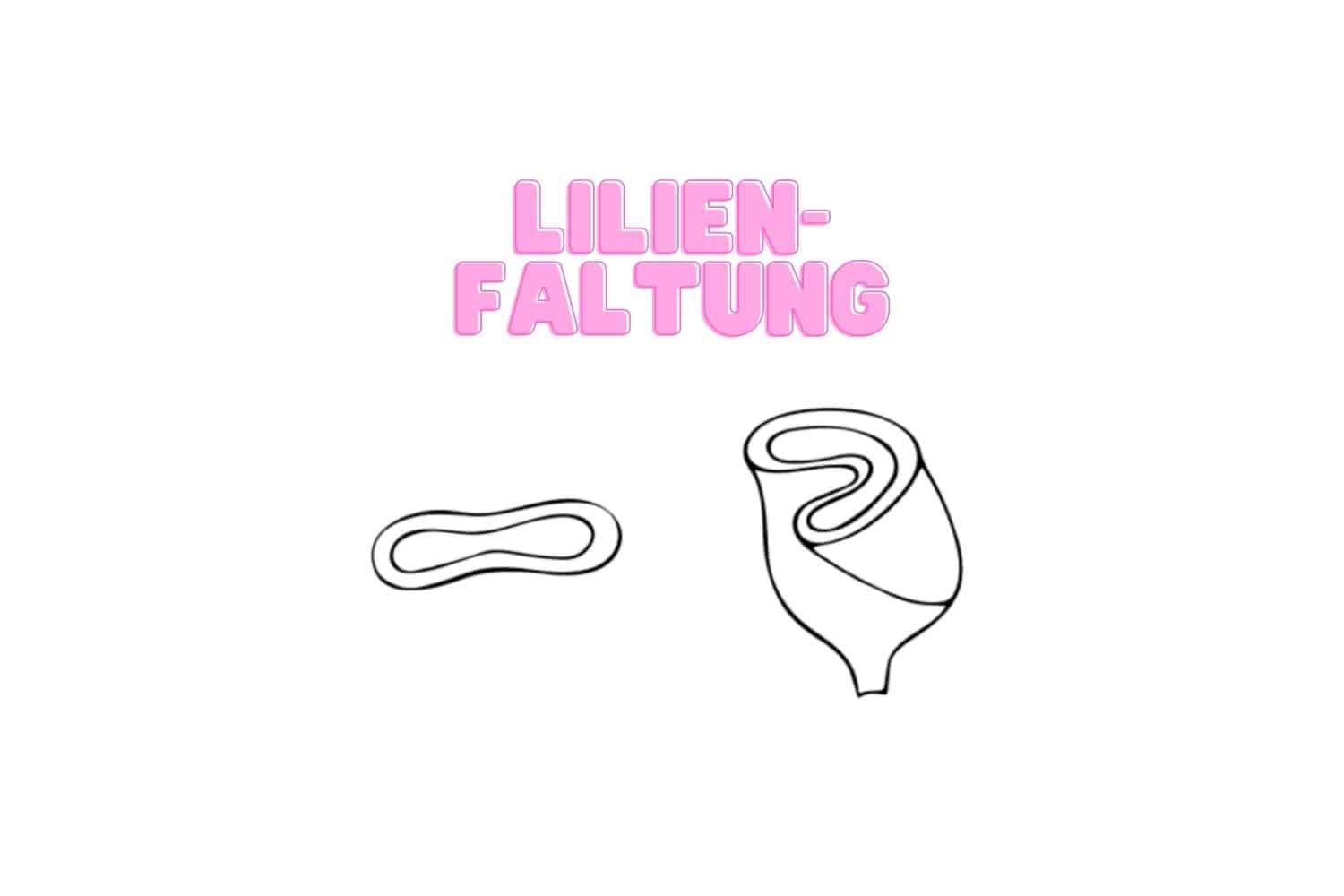 Menstruationstasse falten Lilien-Faltung