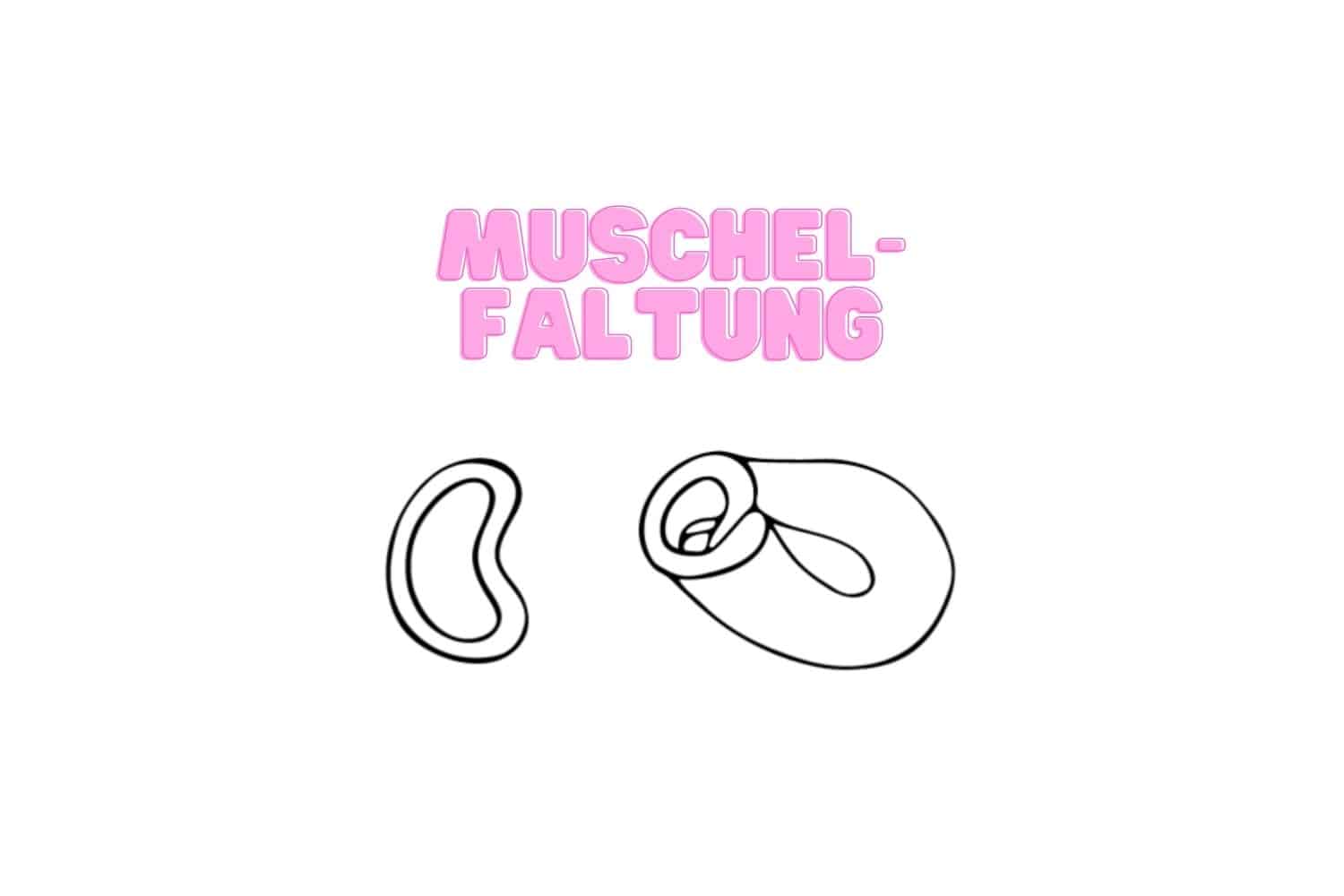 Menstruationstasse falten Muschel-Faltung