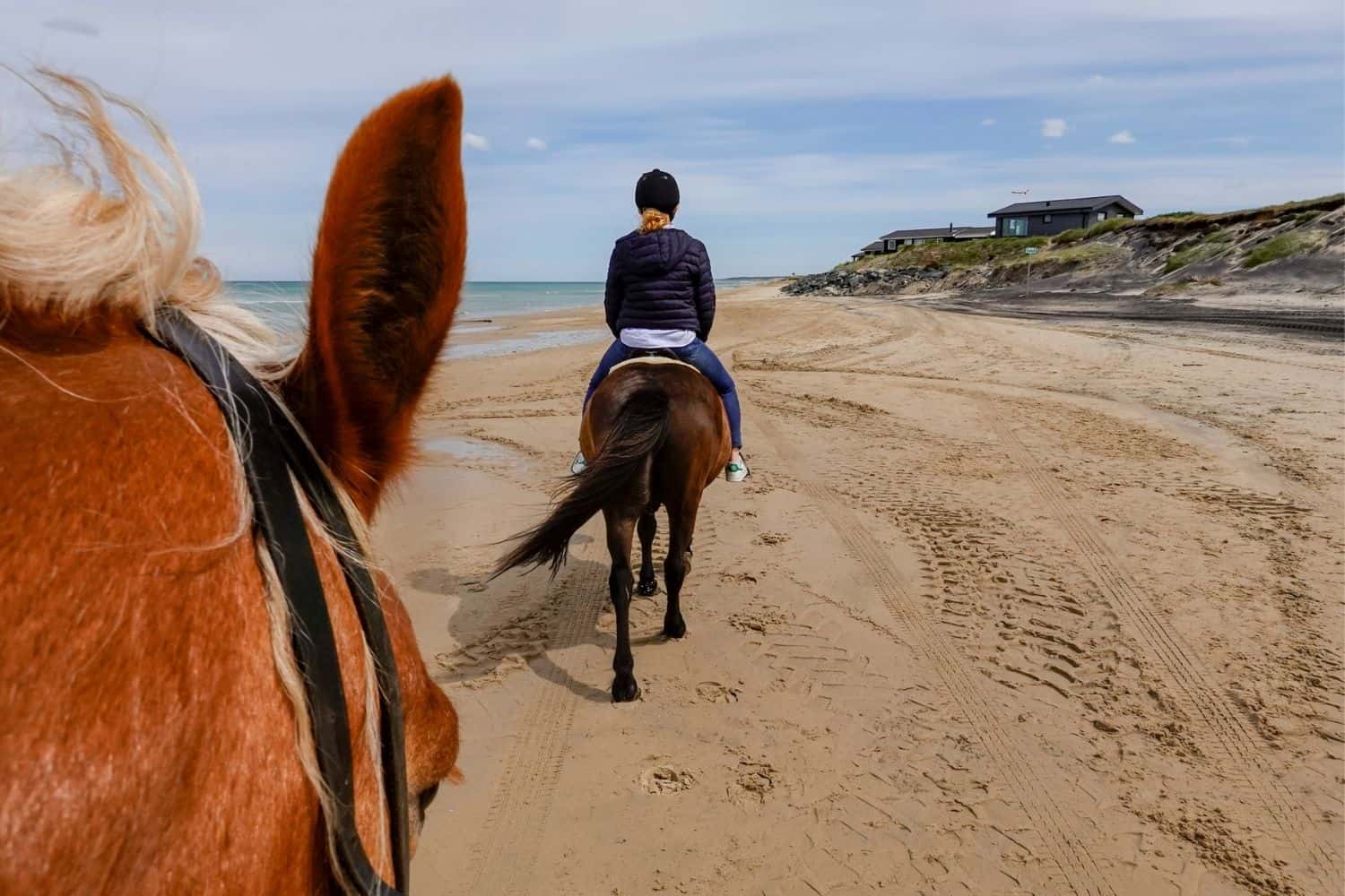 Pferdekutsche durchs Watt