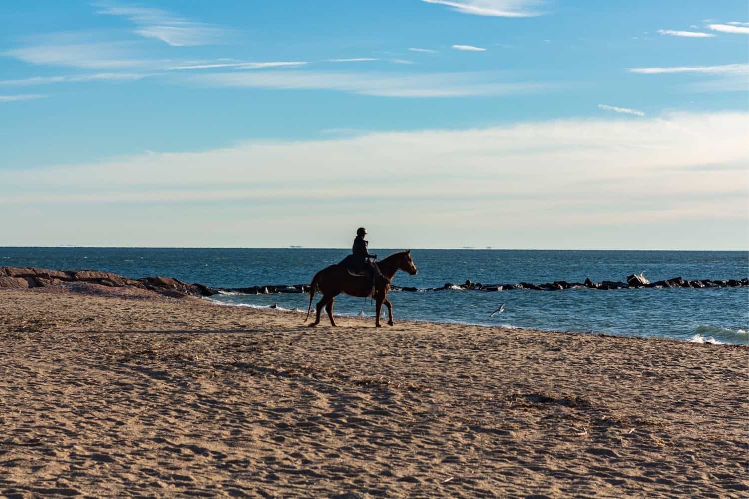 Pferden am Strand von Foehr