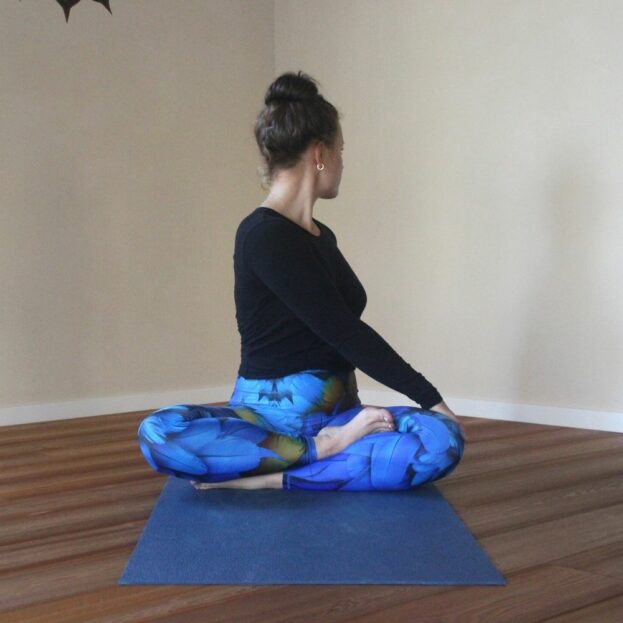 Yoga Leggings Arctic Flamingo Ardha Matsyendrasana