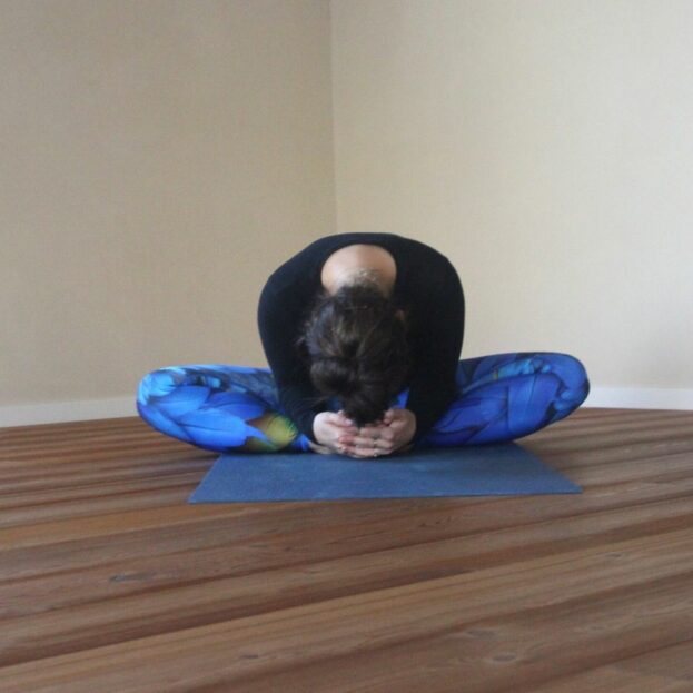 Yoga Leggings Blue Bird von Arctic Flamingo im Baddha Konasana