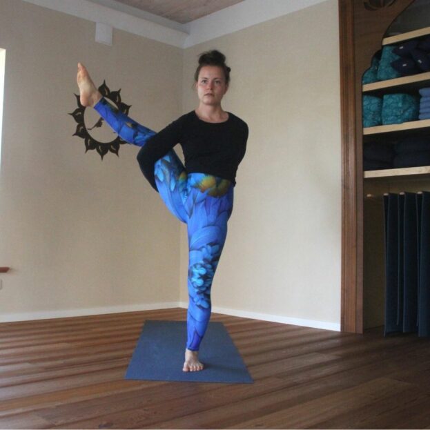 Yoga Leggings Blue Bird von Arctic Flamingo im Svarga Dvijasana