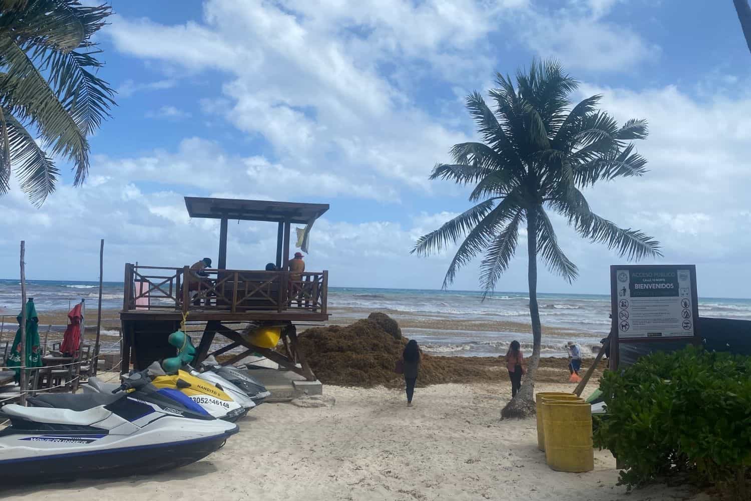 Algen Playa del Carmen