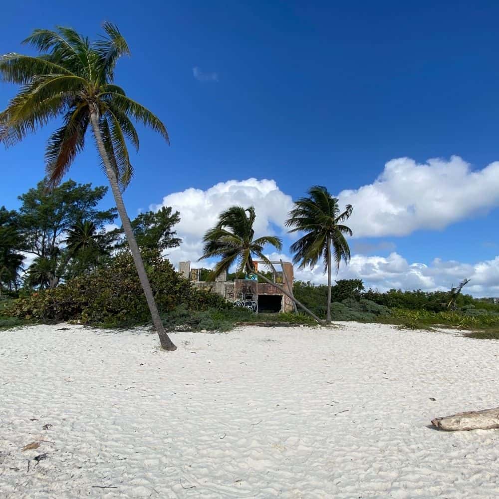 Playa del Carmen Palmenbaum und Strand